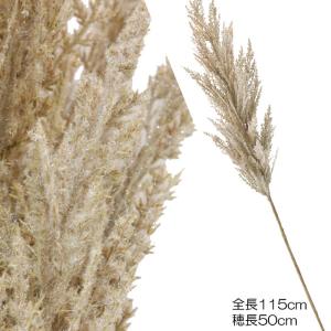 ボヘミアンテイスト ナチュラルテイスト フェイク ハンドメイド パンパスグラスＬ  ベージュ(DMFG2023/145)｜zoukasousyoku-d