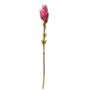 造花 アートフラワー)バナナフラワー(DF46/99)｜zoukasousyoku-d
