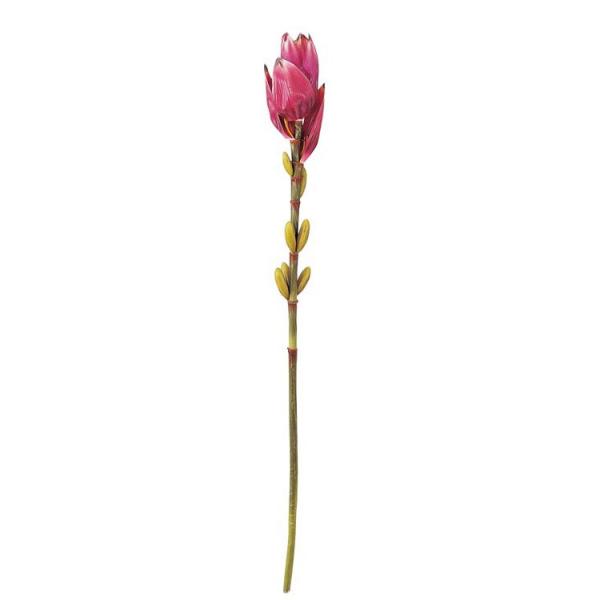 造花 アートフラワー)バナナフラワー(DF46/99)