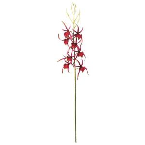 造花 アートフラワー)スパイダーオーキッド(8) パープル(DF46/102)｜zoukasousyoku-d