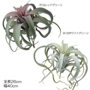 造花 フェイクグリーン 人工観葉植物 カーリーチランジア(DMFG2023/169)｜zoukasousyoku-d