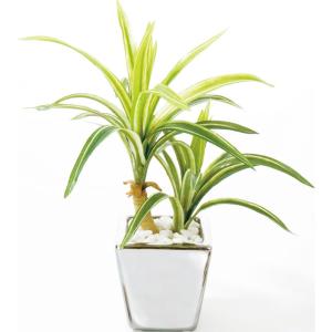 造花 フェイクグリーン 人工観葉植物) ドラセナ・サンデリアーナ(DMFG2023/217)｜zoukasousyoku-d