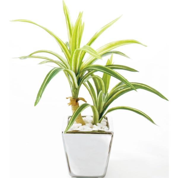 造花 フェイクグリーン 人工観葉植物) ドラセナ・サンデリアーナ(DMFG2023/217)
