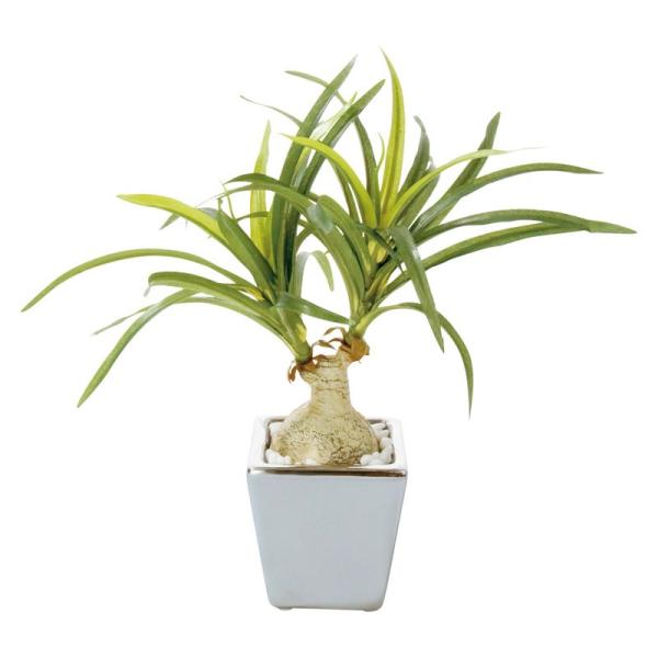 造花 フェイクグリーン 人工観葉植物) ノリナ(DMFG2023/217)