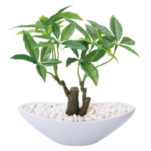 造花 フェイクグリーン 人工観葉植物) パキラポット(S)(DMFG2023/217)