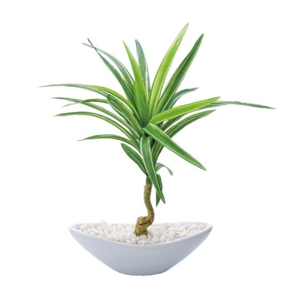 造花 フェイクグリーン 人工観葉植物) ユッカポット(S)(DMFG2023/217)