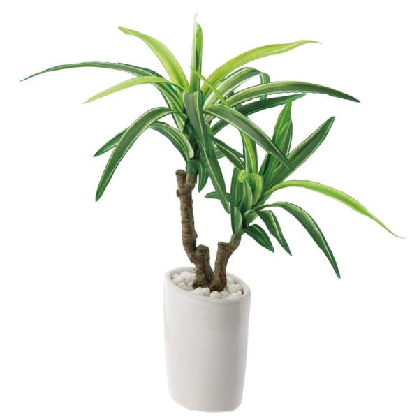 造花 フェイクグリーン 人工観葉植物) スリムユッカオーバルポット(DMFG2023/217)