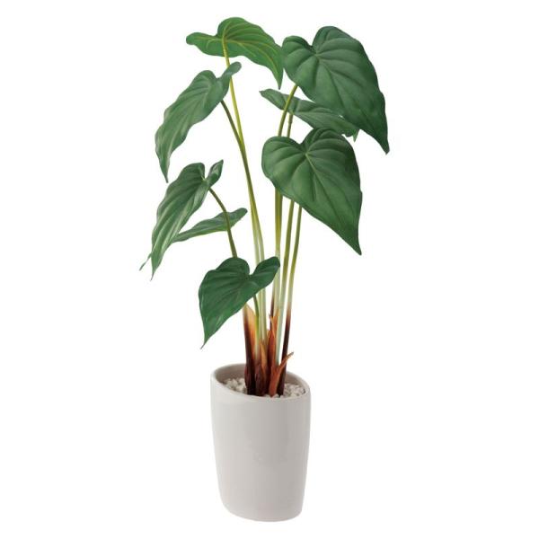 造花 フェイクグリーン 人工観葉植物  ロングアロカシアオーバルポット(DMFG2023/218)