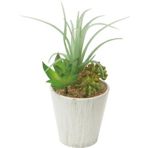 造花 フェイクグリーン 人工観葉植物) チランジアミックスポット　ミックス(DMFG2023/221)｜zoukasousyoku-d