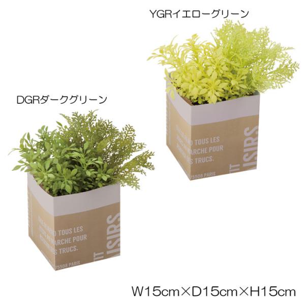 造花 フェイクグリーン 人工観葉植物) グリーンミックスペーパーポット(DMFG2023/223)