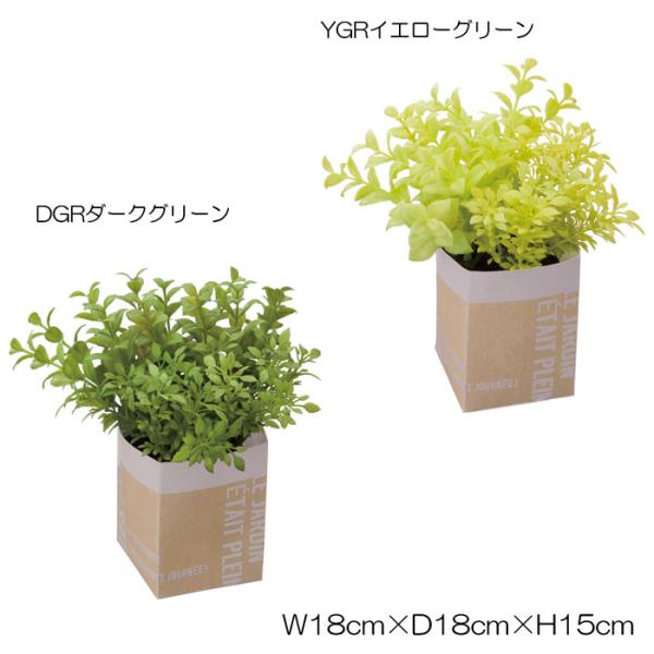 造花 フェイクグリーン 人工観葉植物) ハートリーフミックスペーパーポット(DMFG2023/223...