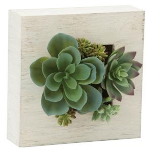 造花 フェイクグリーン 人工観葉植物) エケベリアミックスフレーム　グリーン(DMFG2023/225)｜zoukasousyoku-d