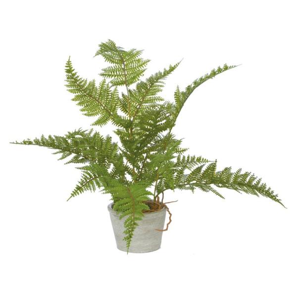 造花 フェイクグリーン 人工観葉植物  シダーポット グリーン(DMFG2023/215)