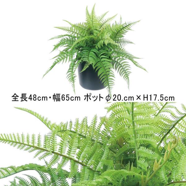造花 フェイク アーティフィシャルフラワー 人工 ファーンポット GR(DMFG2023/219)