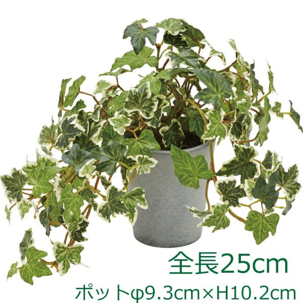 イングリッシュアイビーポット　グリーンH25cm 人工観葉 造花 フェイクグリーン(DMFG2023...