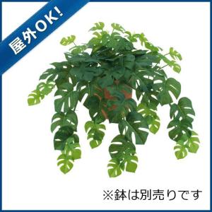 造花 フェイクグリーン 人工観葉植物) (屋外OK)フレッシュスプリットフィロハンギングブッシュ(S)−ウォータープルーフ(GL87)｜zoukasousyoku-d