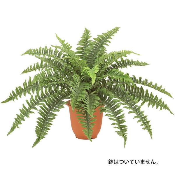 造花 フェイクグリーン 人工観葉植物 ハワイアンボストンファンブッシュ(L)(GL90)
