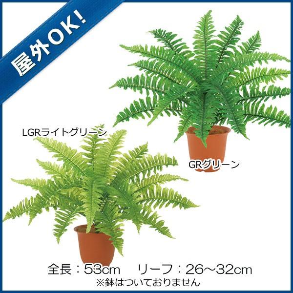 屋外 フェイクグリーン 人工観葉植物)ウォータープルーフフレッシュボストンファンブッシュ(S)ｘ16...