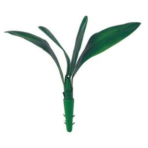 造花 フェイクグリーン 人工観葉植物) ファレノプシスリーフブッシュ(4)(DF46/15)｜zoukasousyoku-d
