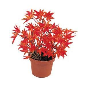 秋 モミジ 紅葉 造花 店舗 装飾 ディスプレイ)20cmモミジポット　レッド(DF46/56)｜zoukasousyoku-d