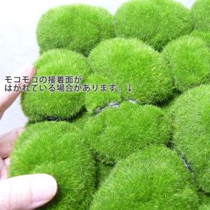 壁面緑化 造花 フェイクグリーン 人工観葉植物...の詳細画像1