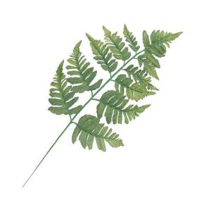造花 フェイクグリーン 人工観葉植物)レザーファン(6本/パック)(GL64)｜造花ディスプレイ ドットコム