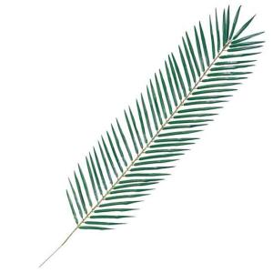 造花 人工観葉植物 南国)フェニックスパームリーフ(67)(DF46/22)｜zoukasousyoku-d