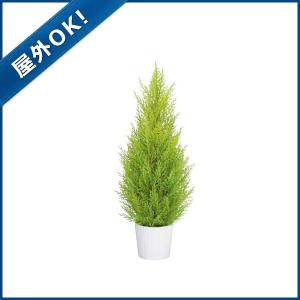 造花 フェイクグリーン 人工観葉植物) (屋外OK)60cmゴールドクレストツリー(プラスチック)(GL106)