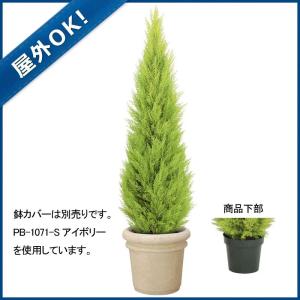 造花 フェイクグリーン 人工観葉植物)(屋外OK)180cmゴールドクレストツリー(プラスチック)(GL106)｜zoukasousyoku-d