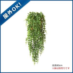 鉢植え 垂れ下がる 観葉植物の商品一覧 通販 Yahoo ショッピング