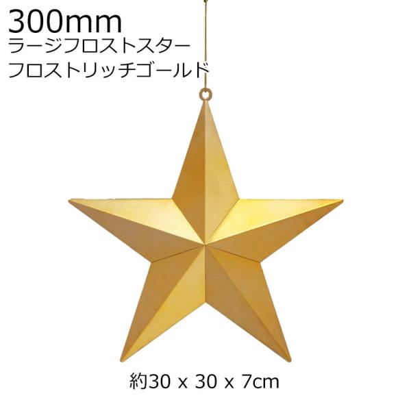 クリスマスツリー飾り 300ｍｍラージフロストスター オーナメント(AB83)