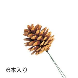 ディスプレイ 店舗装飾 クリスマス)40mmブリーチパインコーン (ワイヤー付き) (6個パック)(DF45/61)｜zoukasousyoku-d