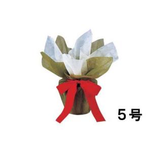 クリスマス デコレーション ラッピング)デコポット(5号) グリーン(DF45/88)