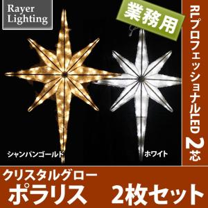 屋外 イルミネーションライト 星)クリスタルグロー ポラリス パワーコード付(RL125)｜zoukasousyoku-d