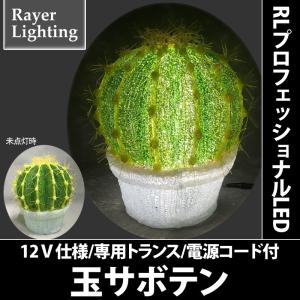 イルミネーション モチーフライト 砂漠 メキシコ)玉サボテン(RL154)｜zoukasousyoku-d