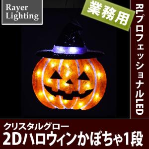 イルミネーション 屋外 モチーフ ジャックオーランタン)2D　ハロウィン　かぼちゃ(RL138)｜zoukasousyoku-d