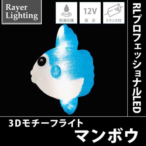 RLプロフェッショナルLED マンボウ