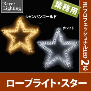 屋外 イルミネーションライト 星)ロープライト スター パワーコード付(RL123)｜zoukasousyoku-d