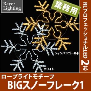 屋外 イルミネーションライト)BIG スノーフレーク1  パワーコード付(RL127)｜zoukasousyoku-d