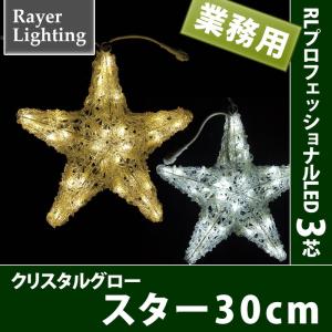 屋外 イルミネーションライト 星)クリスタルグロー スター小型 コントローラー付(RL124)｜zoukasousyoku-d