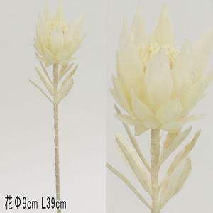 プロティア トロピカルフラワー ドライ 造花 人工樹木 アースカラー ナチュラル シャビープロテア ホワイト×24本セット(VI61/18)｜zoukasousyoku-d