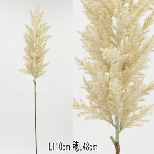 パンパス ドライ 造花 人工樹木 アースカラー ナチュラル パンパス クリーム×12本セット(VI61/18)｜zoukasousyoku-d