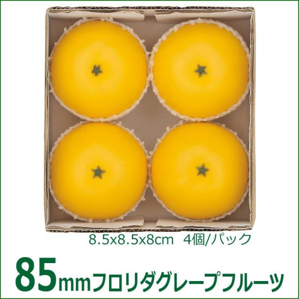 食品サンプル フロリダグレープフルーツ(4ヶ/パック) (GL148)