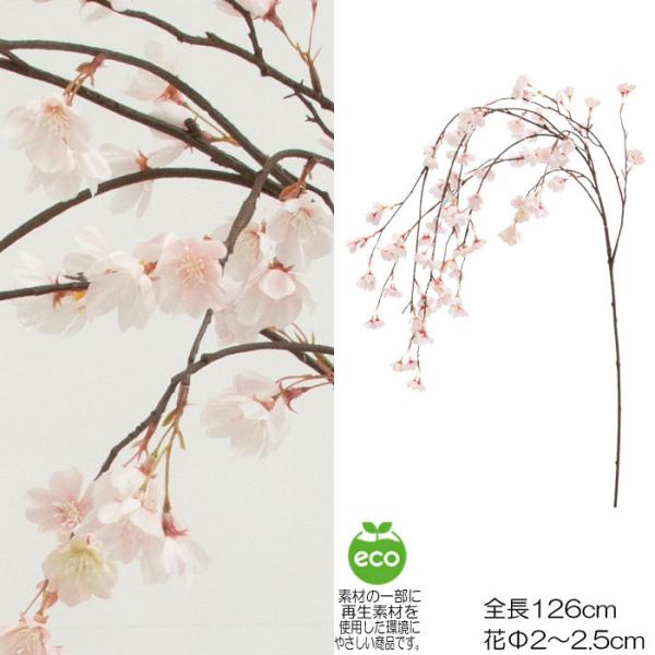 桜 開花 予想