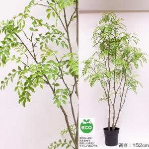 人工観葉植物 フェイクグリーン H152cmシマ...の商品画像