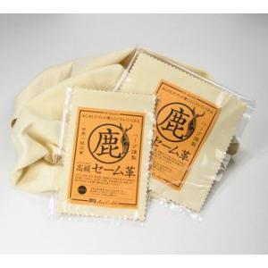 ウェーブ・レジンキャストEx 2kg ノンキシレンタイプ グレー : 造形