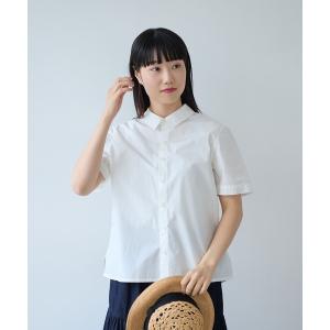 ブラウス シャツ オーガニックコットン 60/1タイプライタイプライター 半袖シャツ レディース