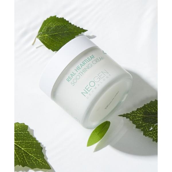 美容液 オイル クリーム NEOGEN リアル ドクダミ スージング クリーム 80g