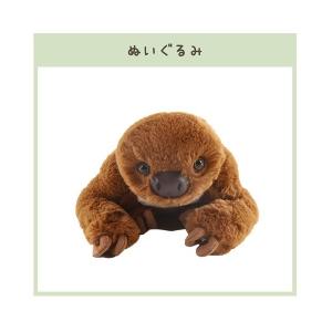 ナマケモノ ぬいぐるみ 2Sサイズ マグネット付き ティーエスティー