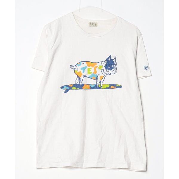 「The Endless Summer」 半袖Tシャツ M ホワイト メンズ